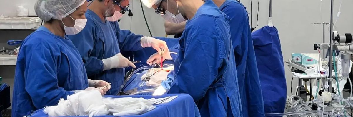 Santa Casa de Goiânia fará mais de 60 cirurgias em mutirão nacional do SUS