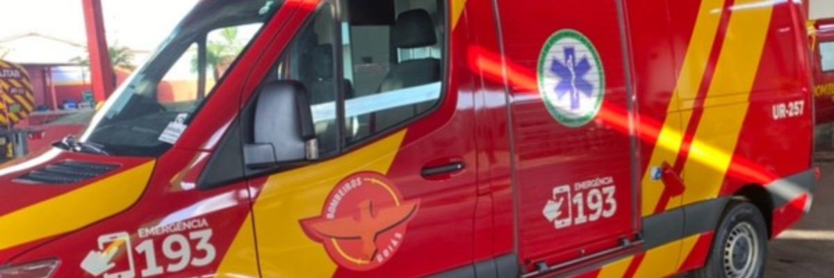 Homem morre após ataque de marimbondos na véspera de Natal, em Aparecida de Goiânia