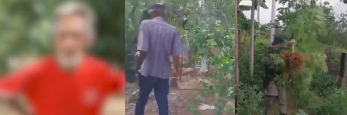 Homem é preso por manter idoso em condição análoga à escravidão em Goiás