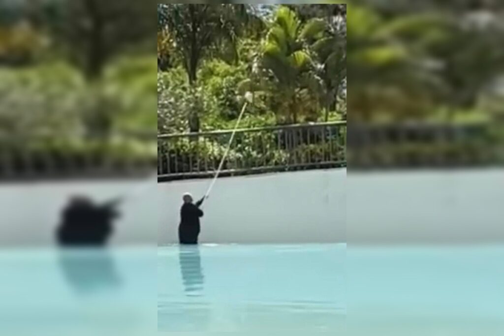 Piscina de ondas é interditada após turistas encontrarem fezes na água em parque aquático de Caldas Novas
