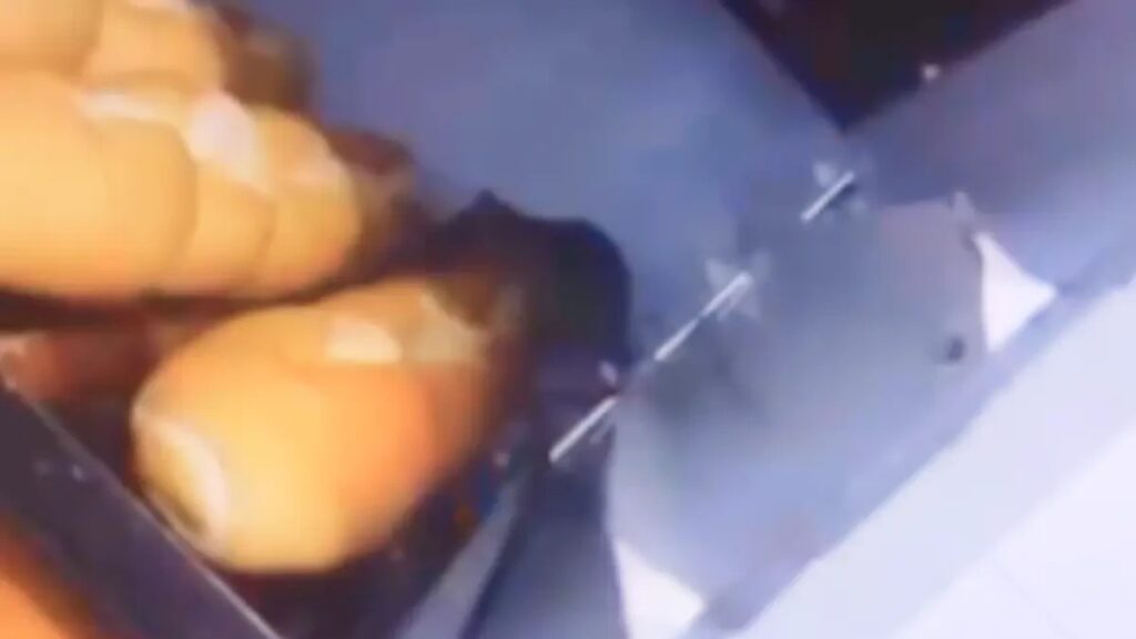 Supermercado é interditado após ratos serem flagrados sobre pães em Aparecida de Goiânia