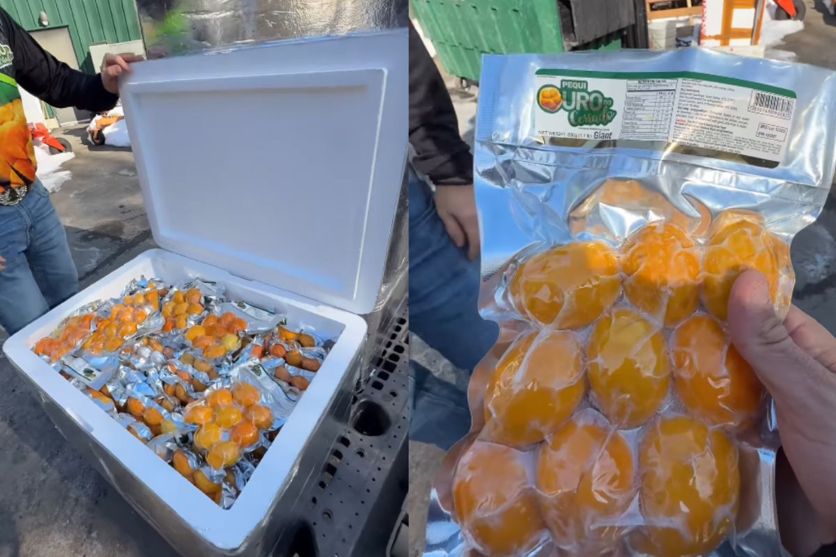 De Goiás para os EUA: empresário leva pequi para brasileiros no exterior