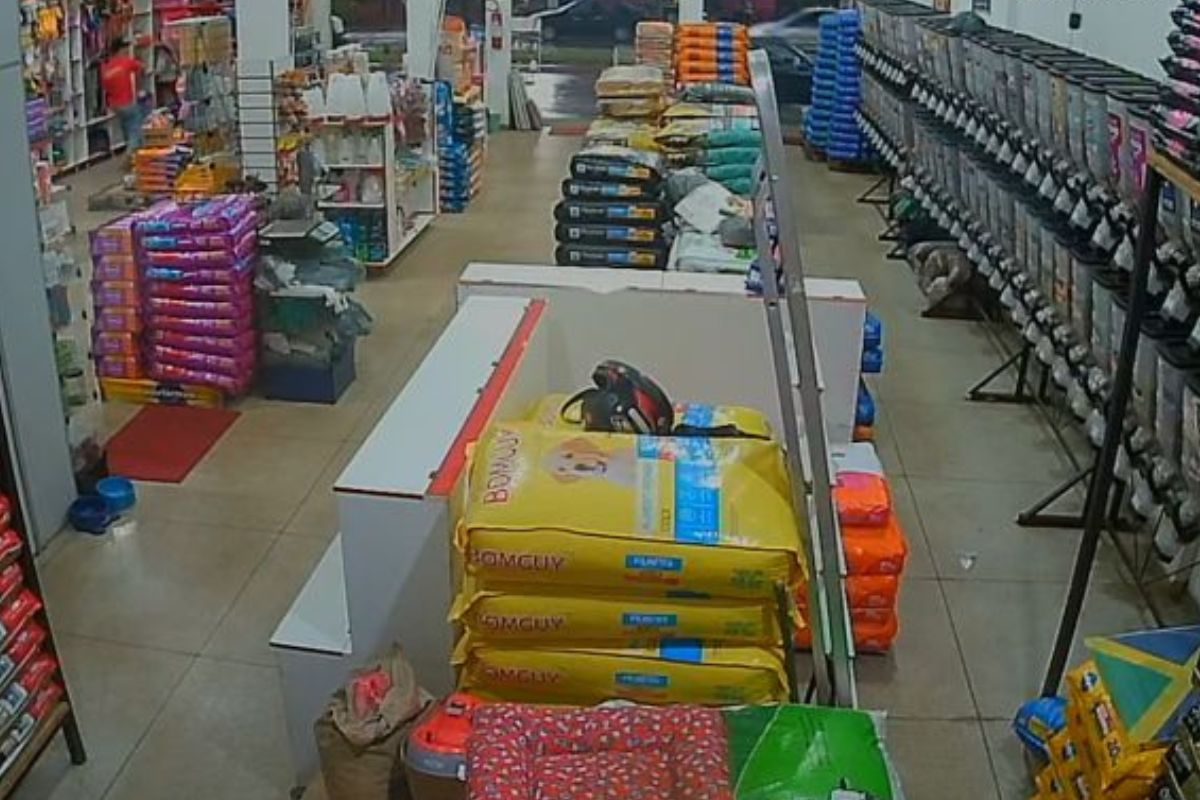 Jovem é salvo por colega após se engasgar em pet shop de Trindade; veja vídeo