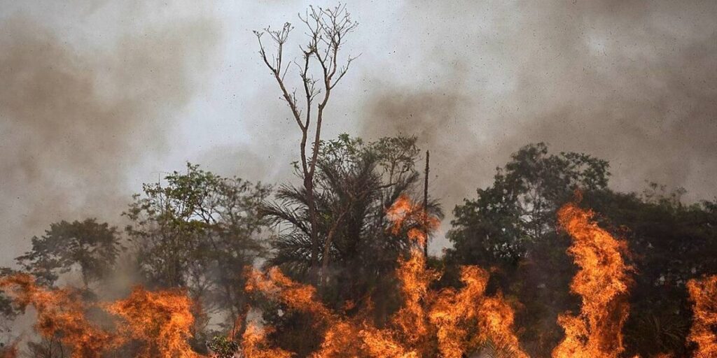 Incêndios preocupam e colocam bombeiros em alerta com chegada da estiagem