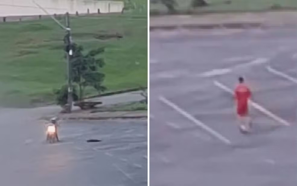 Bombeiro é afastado após suspeita de matar cachorro em Goiânia