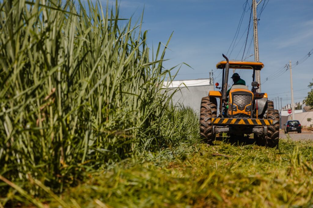 Anápolis inicia fiscalização e pode multar donos de lotes com mato alto