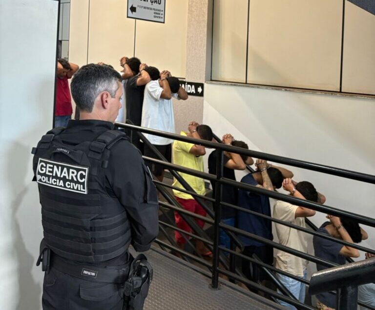 Operação Destroyer causa prejuízo milionário ao crime organizado em Goiás