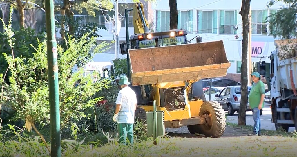 Retirada de 48 árvores no Lago das Rosas é suspensa em Goiânia