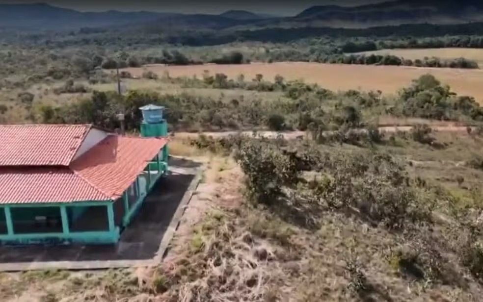Câmeras escondidas revelam tesouro da fauna no interior de Goiás