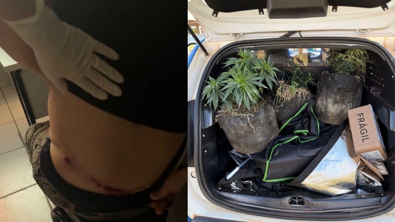 Mulher é baleada durante briga entre vizinhos e polícia descobre plantação de maconha em Trindade