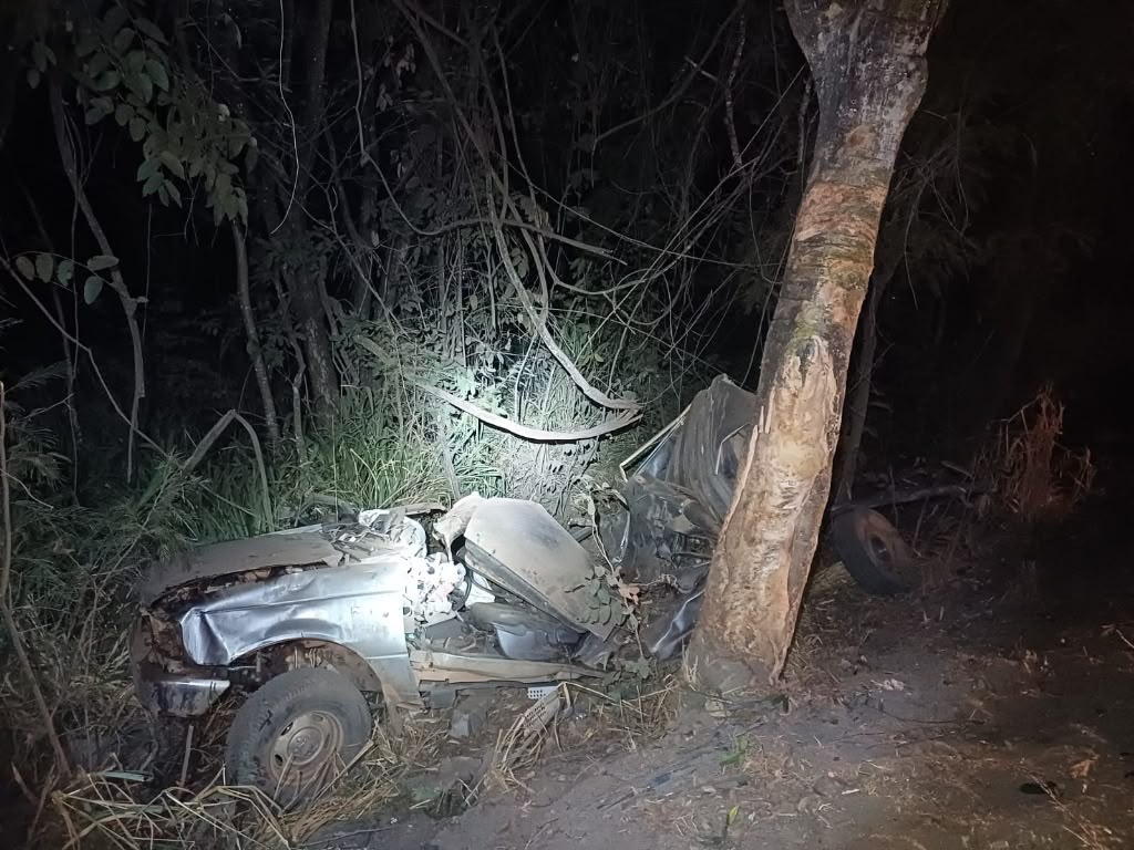 Homem morre após perder o controle de caminhonete e bater contra árvore na BR-153