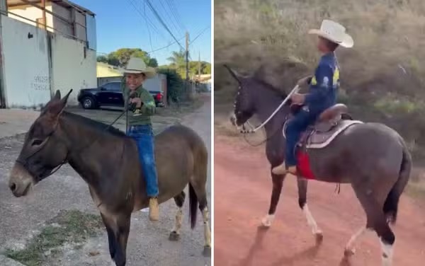 Final feliz: menino de 7 anos reencontra mula desaparecida durante romaria para Trindade