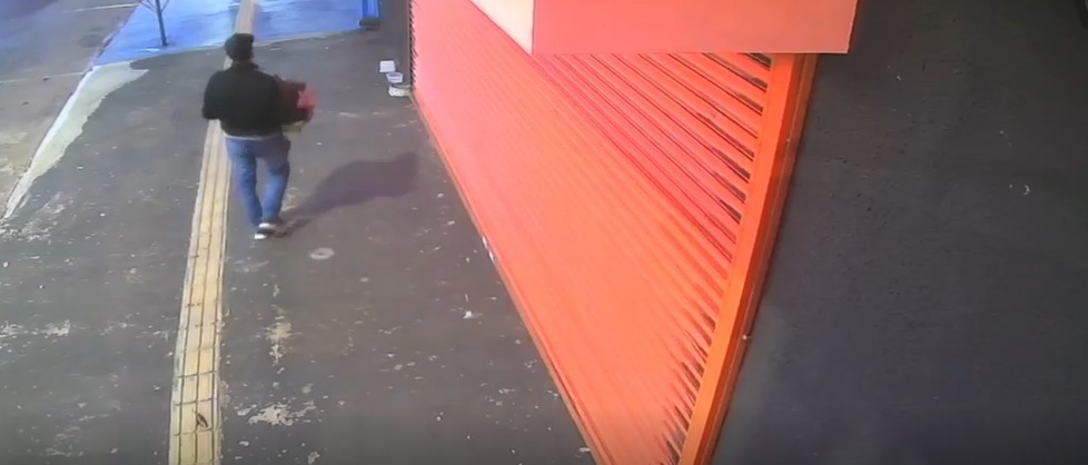 Câmeras flagram homem abandonando filhotes de cachorro na porta de pet shop em Goiânia