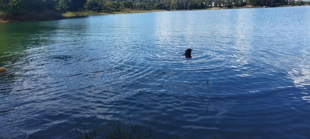 Mulher morre afogada ao tentar salvar adolescente no Lago Corumbá, em Caldas Novas
