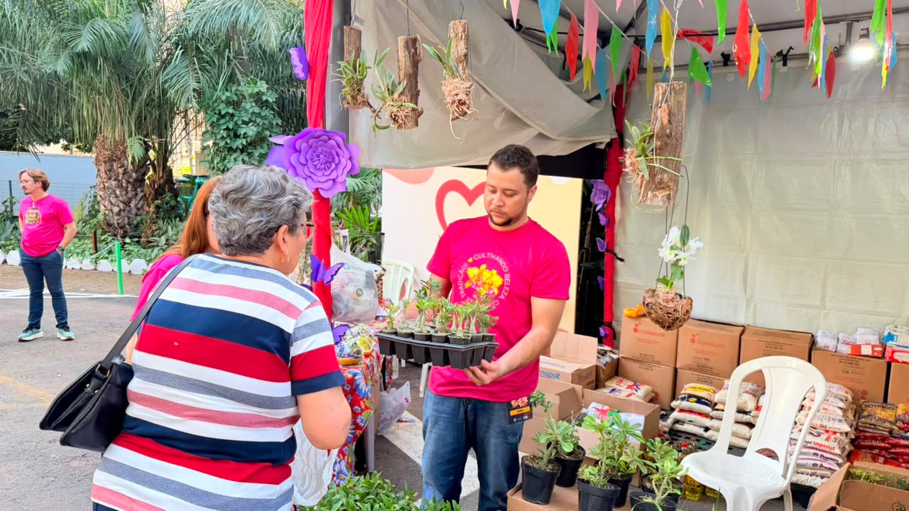 Sem planos para o fim de semana? Exposição gratuita reúne orquídeas, frutas exóticas e ação solidária em Goiânia