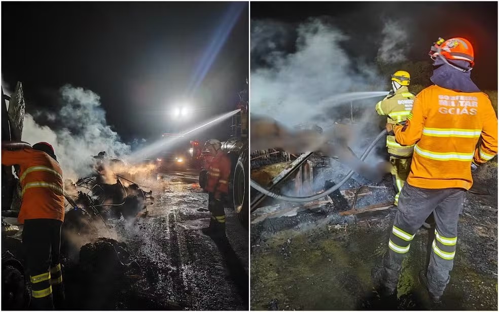 Mais de 50 bezerros morrem carbonizados após carreta pegar fogo na GO-112