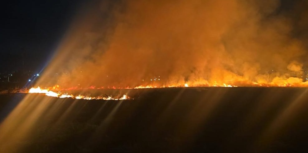 Incêndio atinge área de vegetação e mobiliza bombeiros em Goiânia