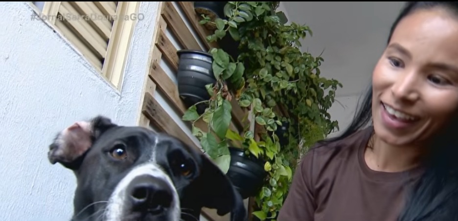 Após esperar 15 dias pelo dono na porta da UPA, cachorro Dipirona ganha um novo lar
