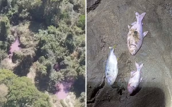 Carga química contamina córrego e provoca morte de peixes após incêndio de caminhão na BR-153