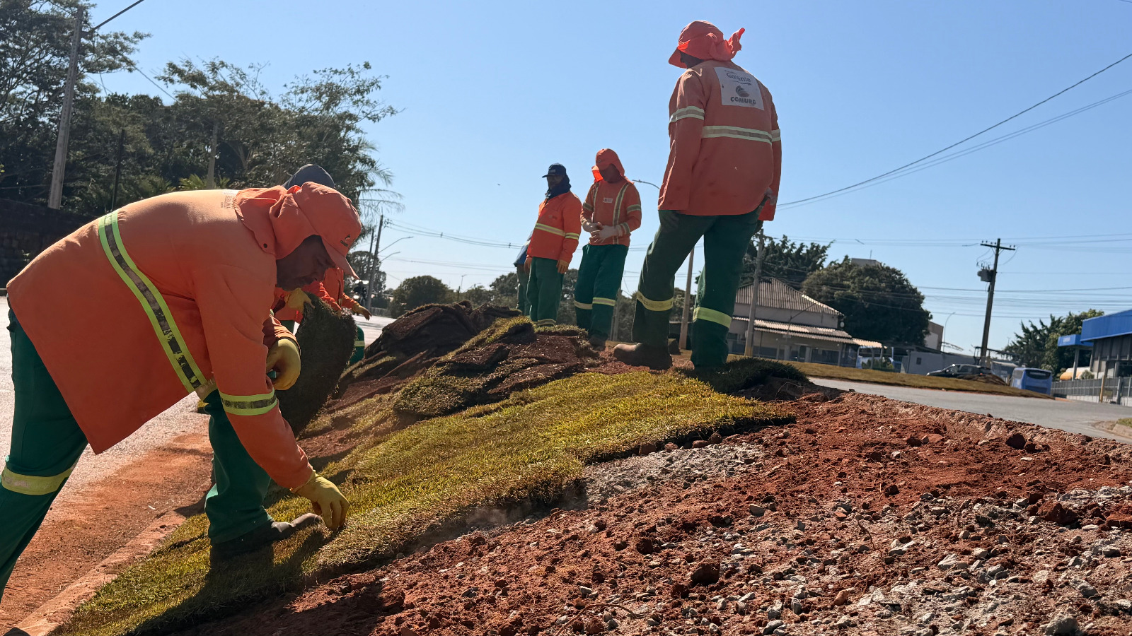 Goiânia ganha novas áreas verdes com plantio de árvores e revitalização de avenidas