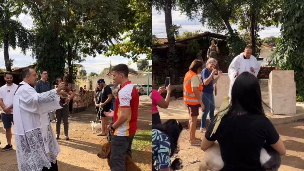 Cães e outros animais são abençoados com água benta durante celebração em igreja de Goiânia