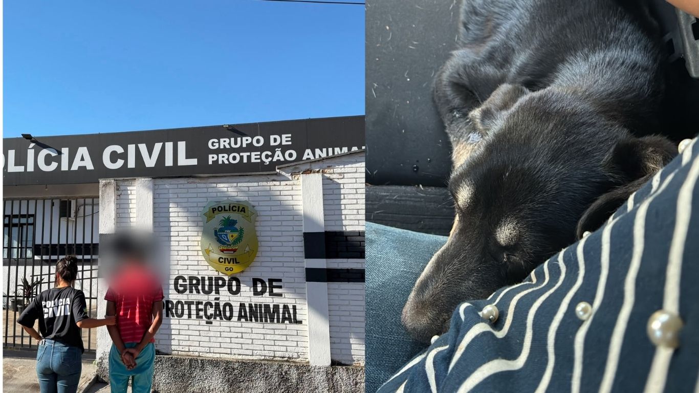 Homem é preso suspeito de arremessar cadela contra o chão várias vezes em Goiânia
