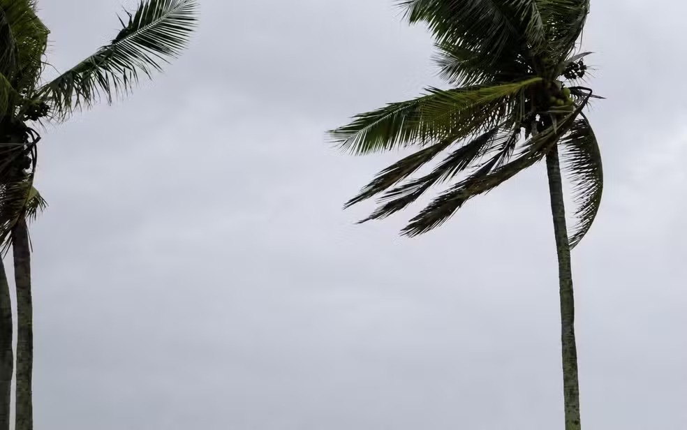Inmet emite alerta de vendaval para Goiás; veja quais cidades podem ser atingidas