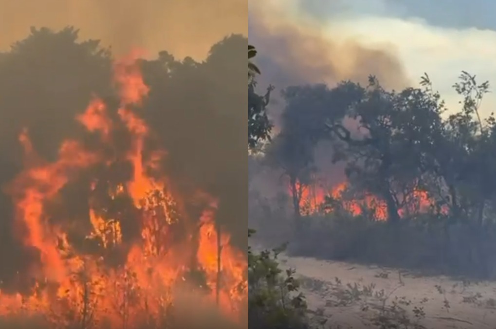 Incêndio na região de Terra Ronca deixa mais de 10 mil hectares queimados