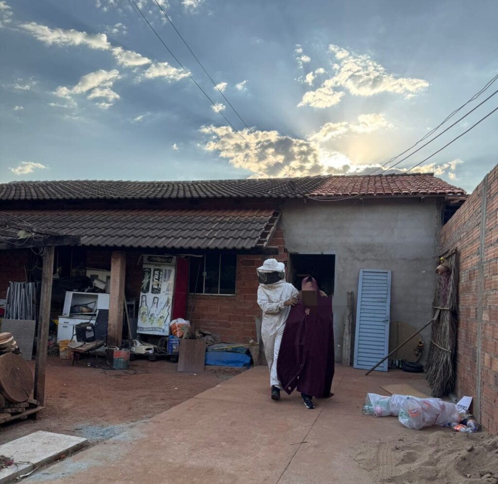 Ataque de abelhas deixa cerca de 40 pessoas feridas e mobiliza bombeiros em Piracanjuba