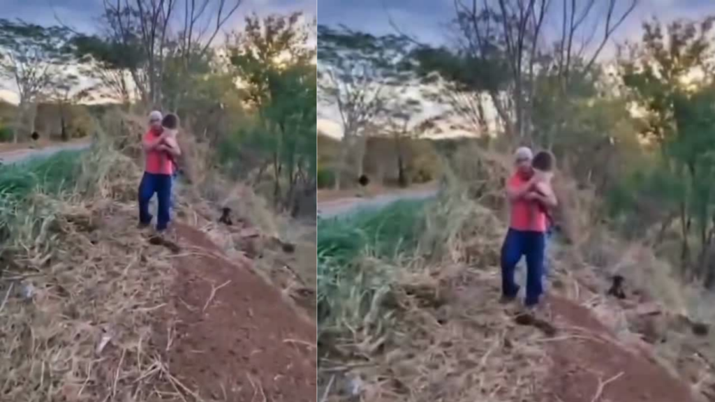 Grave acidente entre caminhão e carro deixa três mortos na GO-210