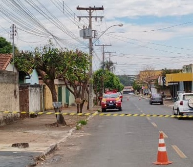 Enxame de abelhas invade quarteirão, ataca pessoas e mata cão em Caldas Novas