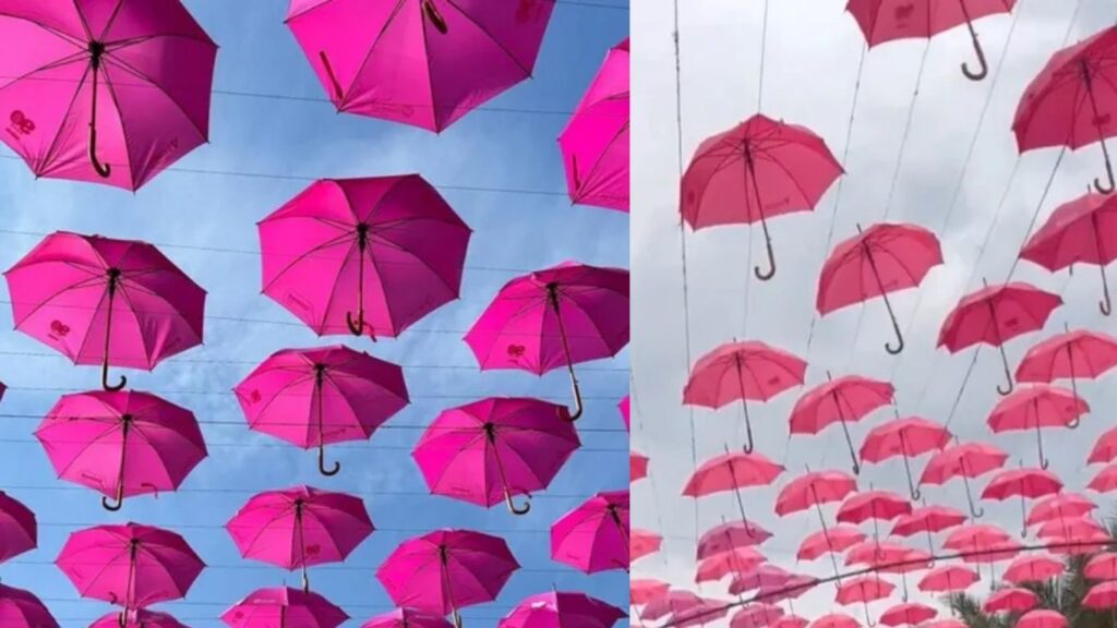 Guarda-chuvas cor-de-rosa chamam atenção para campanha de prevenção em Goiânia