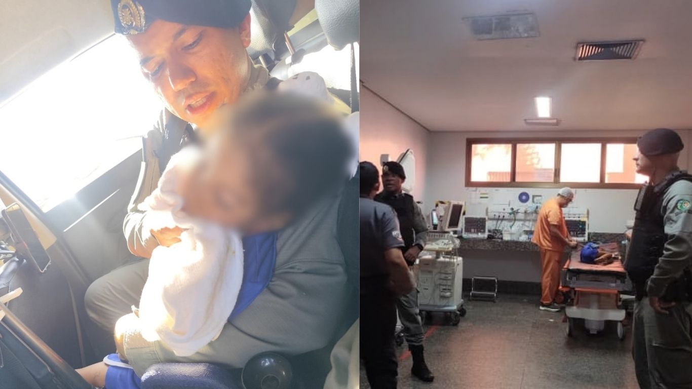 Mãe grávida e criança de 6 anos são picados por escorpião e levadas até o HDT, em Goiânia