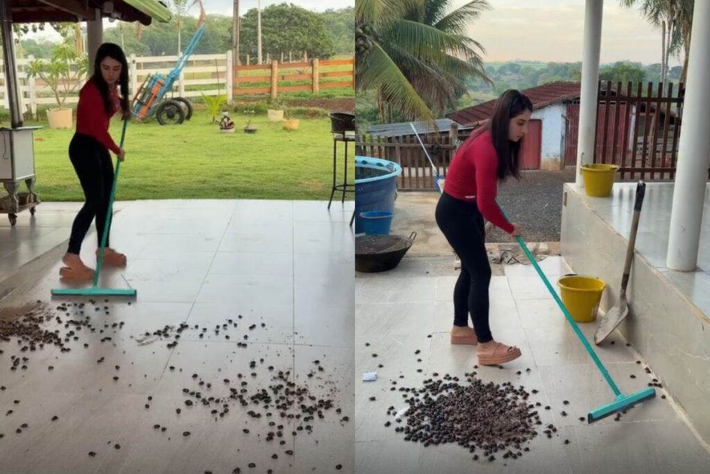 Influenciadora goiana mostra invasão de besouros em casa na roça: “Ô trem difícil de limpar!”