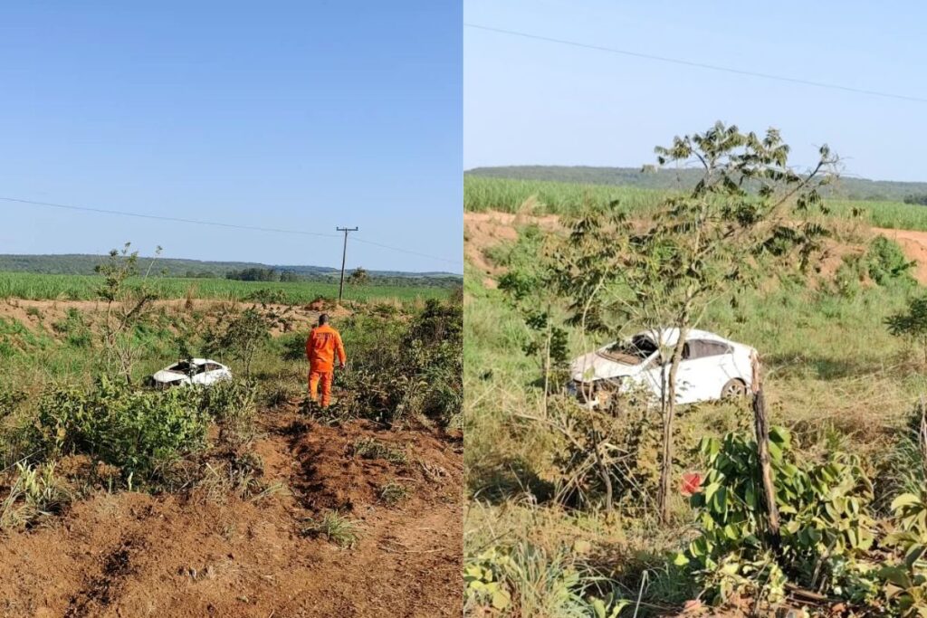 Homem morre após carro capotar ao bater em anta na GO-341, em Mineiros