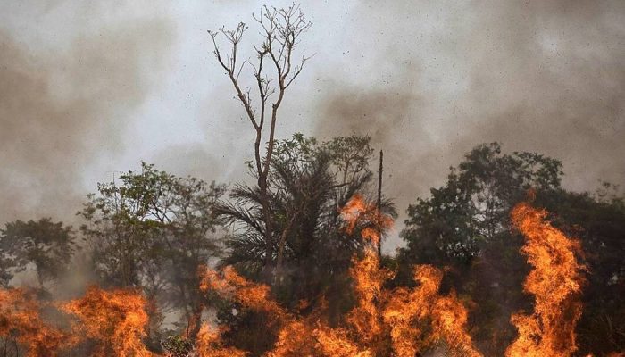Incêndios preocupam e colocam bombeiros em alerta com chegada da estiagem