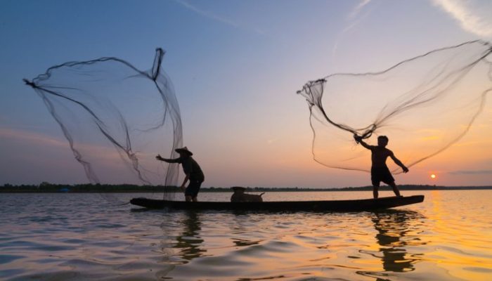 Foto: Istock/Mapa