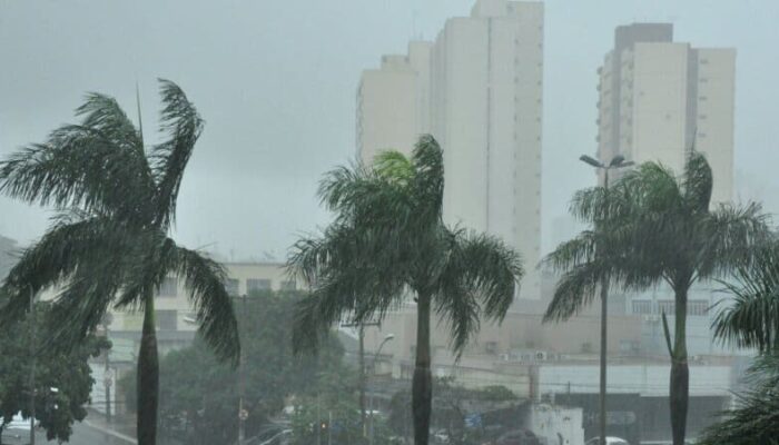 Imagem mostra chuva em cidade de Goiás.  (Foto: Secom)