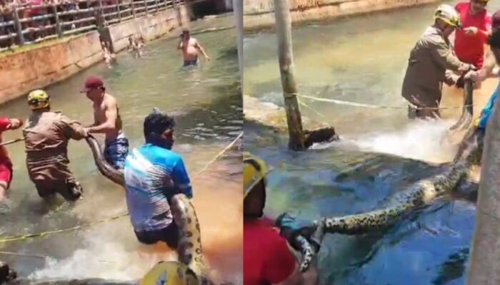 Imagem mostra sicuri de 5 metros sendo resgatada no Esplanada Thermas Park