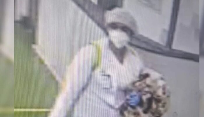 (Foto: Reprodução)