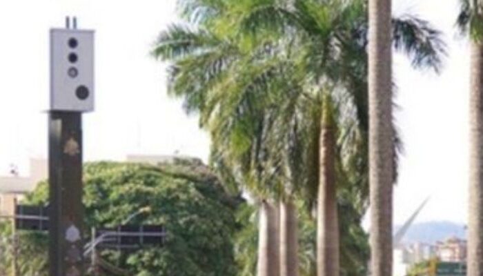 (Foto: Divulgação)