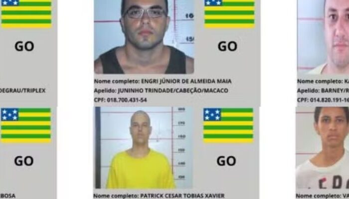 ( Foto: Divulgação/Ministério da Justiça e Segurança Pública)