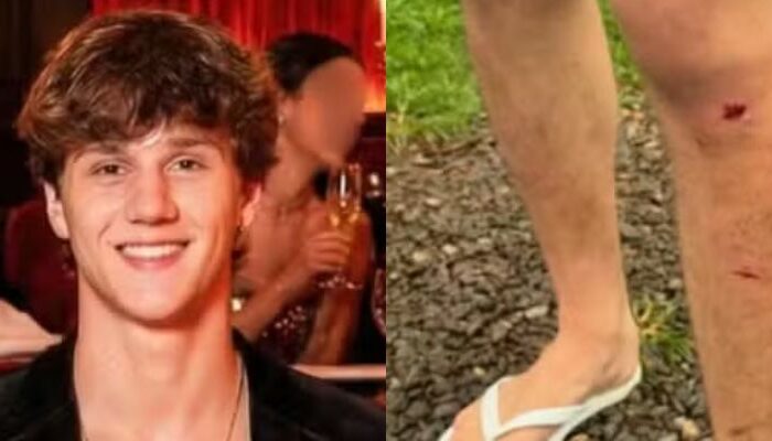 (Foto: Reprodução/Instagram de João Victor e Pedro Henrique)