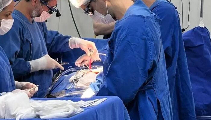 (Foto: Divulgação)