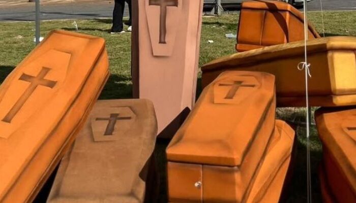 (Foto: Rerprodução/ Instagram/ DetranGO)