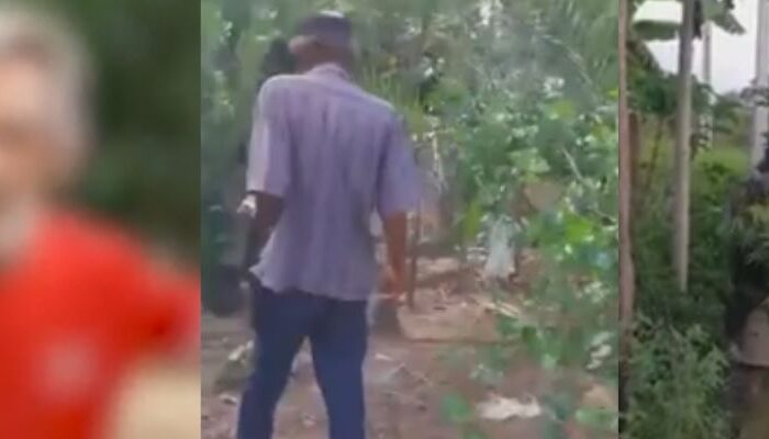 (Foto: Reprodução)