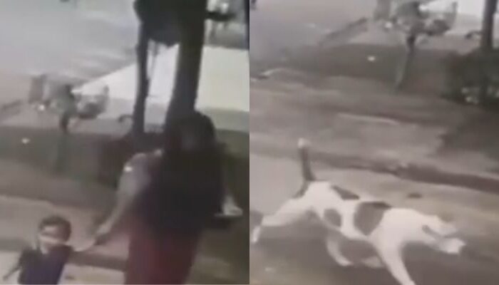 (Foto: Reprodução)