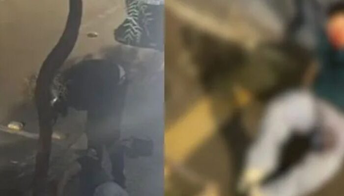 (Foto: Reprodução)