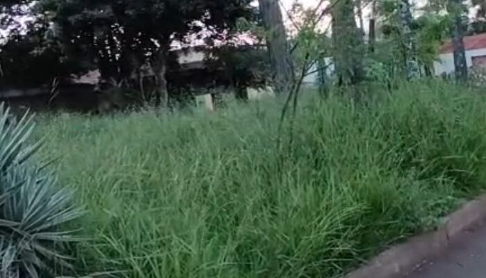 (Foto: Reprodução/ TV Serra Dourada)