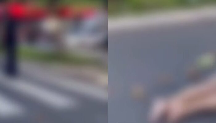 (Foto: Reprodução)